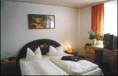 Hotel Goldener Karpfen Ασάφενμπουργκ Ανέσεις φωτογραφία